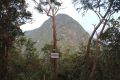 At the summit of Gunung Kerunai, looking to Kenderong (Dan Quinn, July 2024)