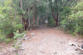 On the trail back down Gunung Kerunai (Dan Quinn, July 2024)