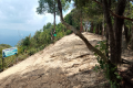 The summit of Gunung Alai (Dan Quinn, July 2024)