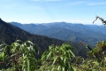 08 Early morning view from near top of gunung Korbu