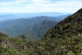 12 A view down from summit of gunung Korbu