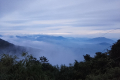 IMG_20230722_070643
