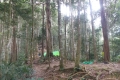 DSCN9791