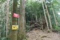 DSCN9795