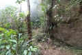 DSCN9806