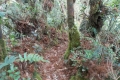 DSCN9821