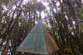 DSCN9874
