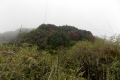 DSCN9919