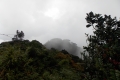 DSCN9933