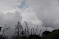 DSCN9940
