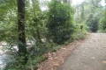 DSCN9964