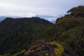 IMG_20230719_055501