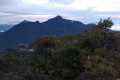IMG_20230719_060050