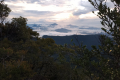 IMG_20230719_061806