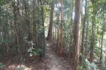 DSCN1150