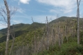 DSCN1153