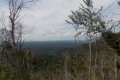 DSCN1161
