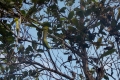 DSCN1179