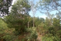 DSCN1196