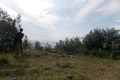 DSCN1200