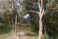 DSCN1201