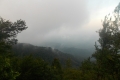 DSCN1286