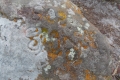 DSCN1306