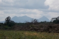 DSCN1316