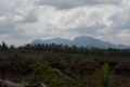 DSCN1326