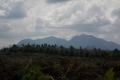 DSCN1327