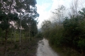 dscn1871