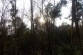 dscn1882