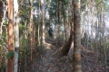 dscn1885