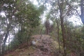 dscn1911