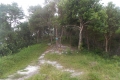 DSCN1929