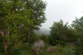 DSCN1931