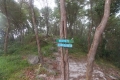 DSCN1933