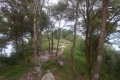 DSCN1935