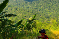 Gunung Masamba - Outside Tandoyondo, near the start of the hunting trail (Chris Willmett, November 2025)