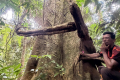 Gunung Masamba - Amos on the hunting trail (Chris Willmett, November 2025)