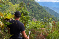 Gunung Masamba - east face (Chris Willmett, November 2025)