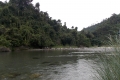 DSCN4469