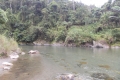 DSCN4470