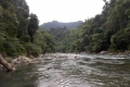 DSCN4473