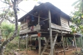 DSCN4475