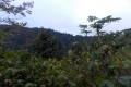DSCN4478