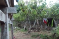 DSCN4479