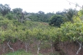 DSCN4482