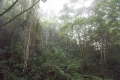 DSCN4486