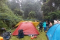 DSCN4494